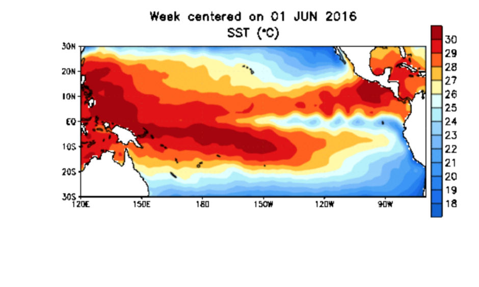 Sea surface temperature anomalies in the tropical Pacific show the dissipation of El Niño. Image: NOAA