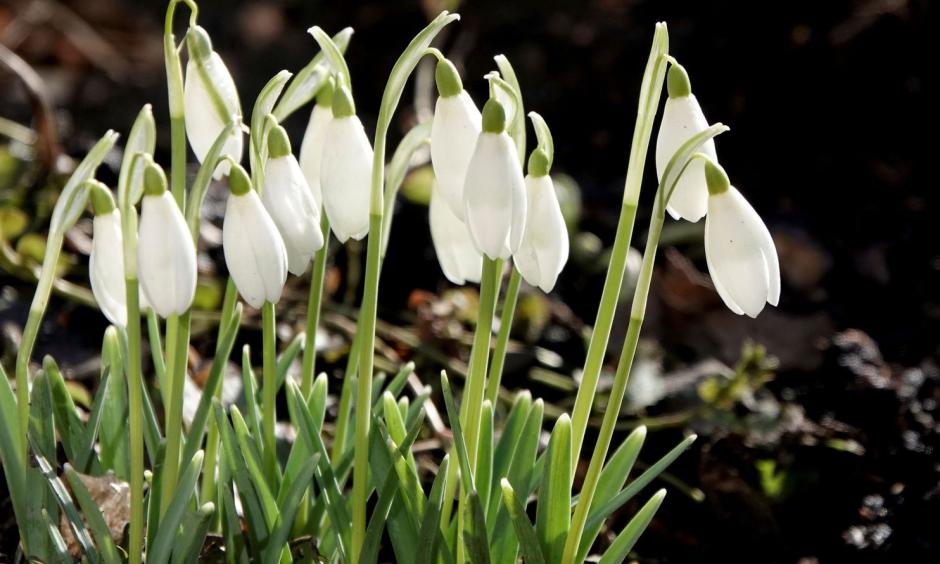 Climate change is increasing temperatures in winter