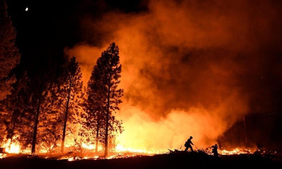 A firefighter battles the Ponderosa Fire east of Oroville, California, in late August. Photo: Noah Berger, Reuters