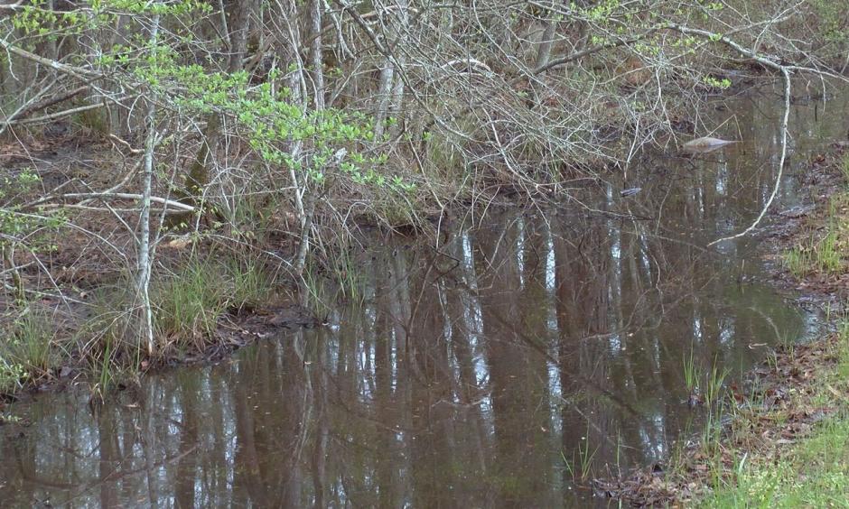 Climate change is increasing extreme rainfall and flooding, which can increase vector born disease risk