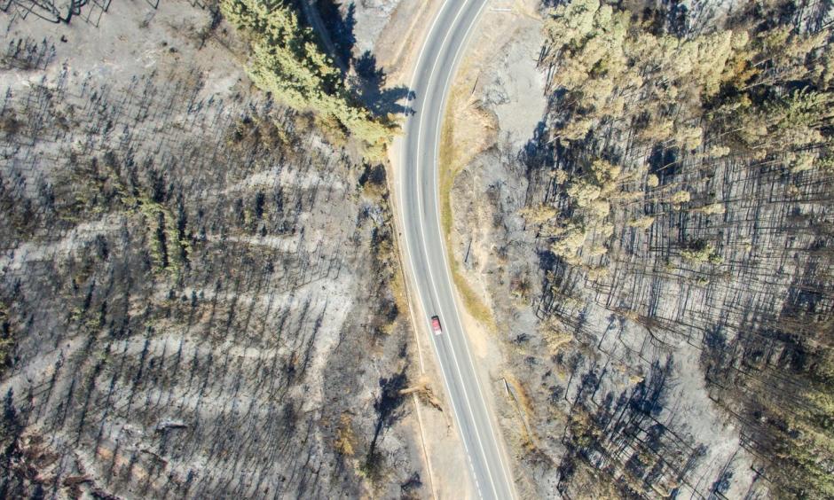 A drone image of a forest near La Florida, Chile, on Sunday, after a wildfire. Photo: Christian Miranda/AFP/Getty Images