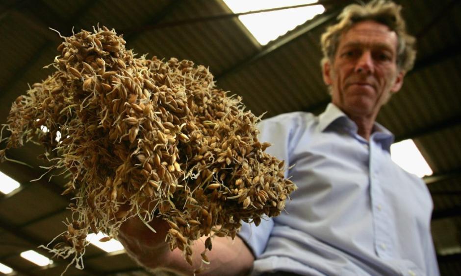 France’s farmers on suicide watch as wheat crop fails Climate Signals