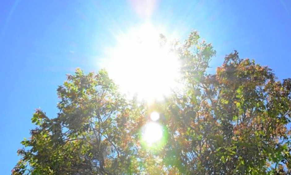 The sun blazed down on Grafton today, setting a new record temperature. Photo: Michael Nolan