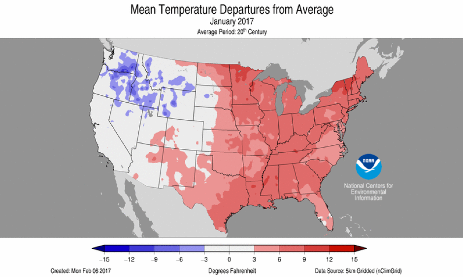 January 2017 Average Temperature Departures. Image: NOAA