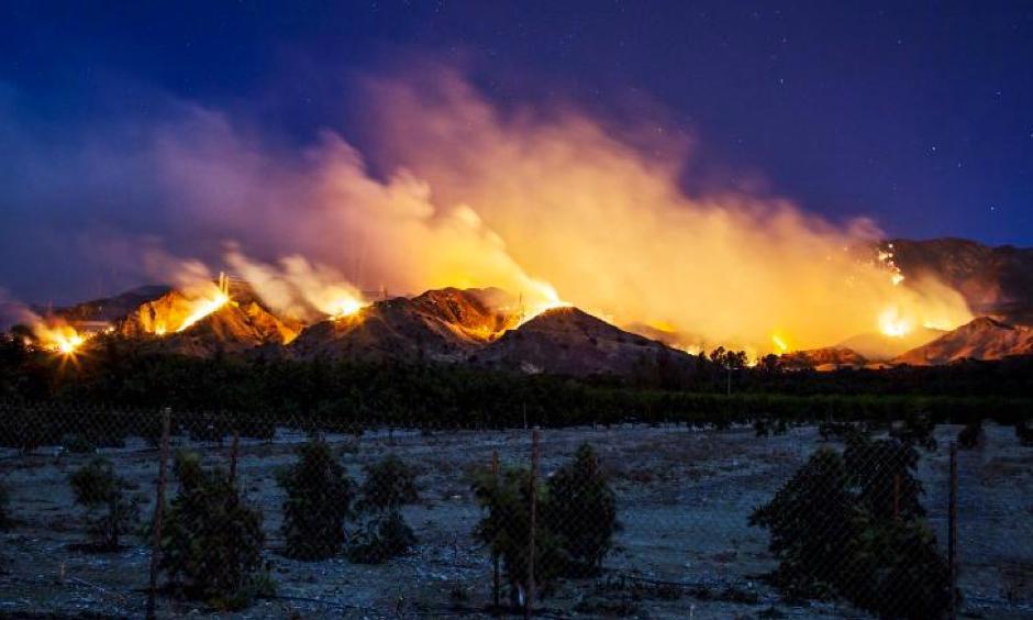 Palm trees burn in Ventura on December 5. Photo: Kyle Grillot, AFP/Getty Images