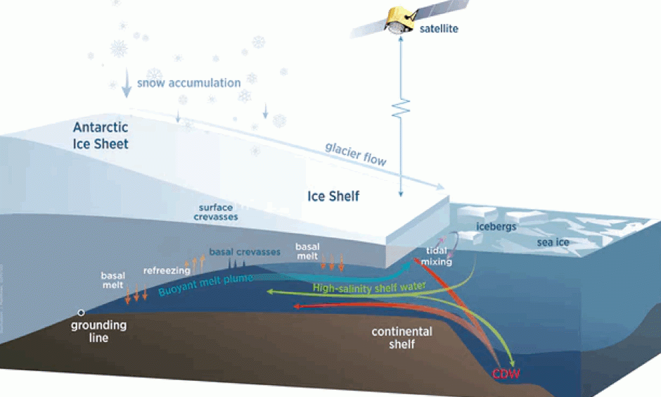 Diagram showing an Antarctic ice shelf. Image: Jennifer Matthews