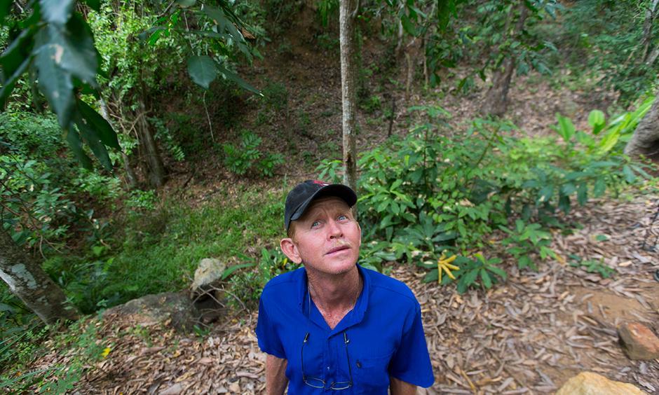 José Luis Machado, a housekeeper at Fazenda Macacos, looks upward into the trees where a group of eight to 10 monkeys had been permanent residents. Dead monkeys began appearing on the property in Itapina on the last day of 2016. “They would fall down from the tree and die on the (forest) floor,” Machado said. Photo: Mark Hoffman, Milwaukee Journal Sentinel
