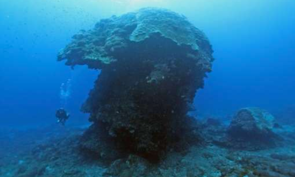 The "Big Mushroom" is located in the waters near Green Island off Taiwan's east coast, attracting divers from around the world. Photo: Phys.org