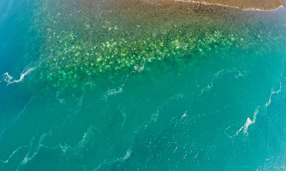 Coral reefs in Australia’s northwest have experienced severe bleaching and coral mortality in 2016. Photo: Steeve Comeau