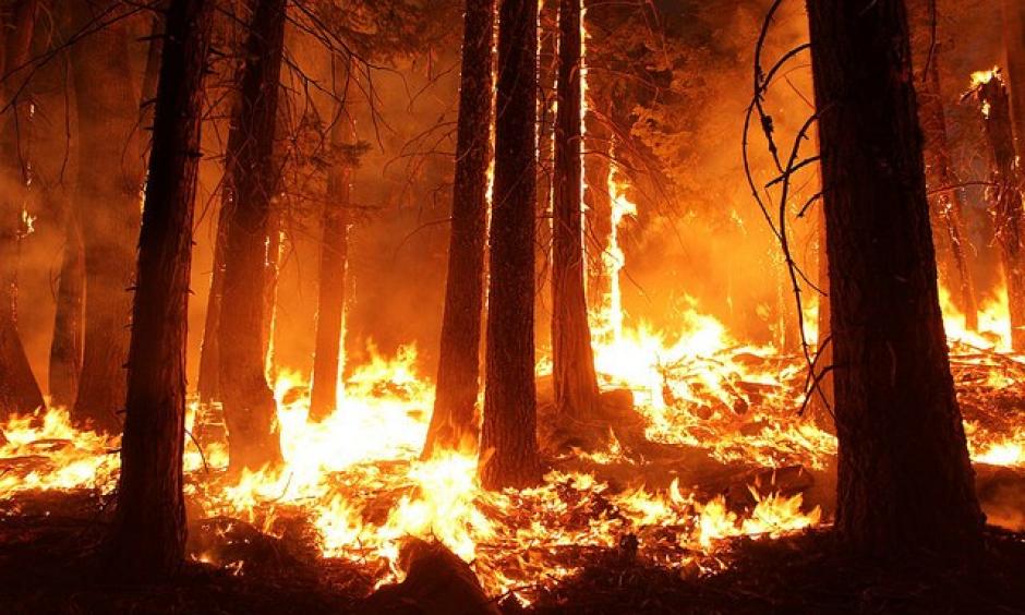Photo: Mike McMillan, US Forest Service