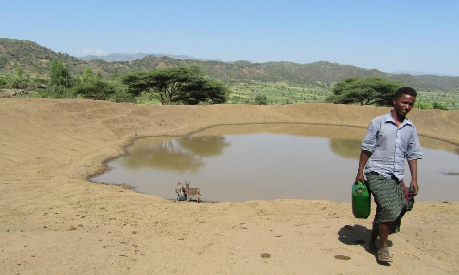 Farmers in North Wollo, the most drought-sensitive area of the country, say their crops have failed. Photo: Arron Reza Merat, GlobalPost
