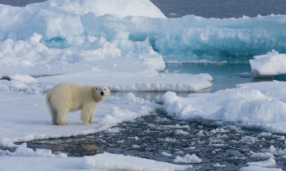 Photo: Wolfgang Kaehler, Getty