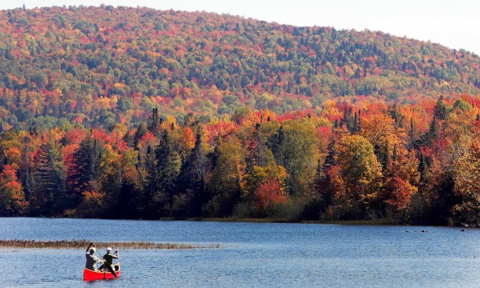 The leaves on trees near the White Mountains in northern New Hampshire wore brilliant reds, yellows and oranges in 2014. Warmer temperatures and extreme weather, however, could mute fall tones and affect the length of the leaf-peeping season. (Jim Cole/AP)