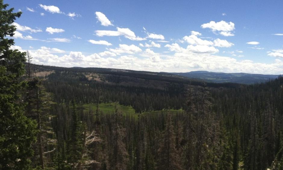 Big Elk Lake, as seen on July 13, 2015, sits at the end of a 1.75 mile trail in the Uinta Mountains in Summit County. Summit County is one of five counties in Utah that has had a report of Lyme disease. Photo: Nate Carlisle, Salt Lake Tribune