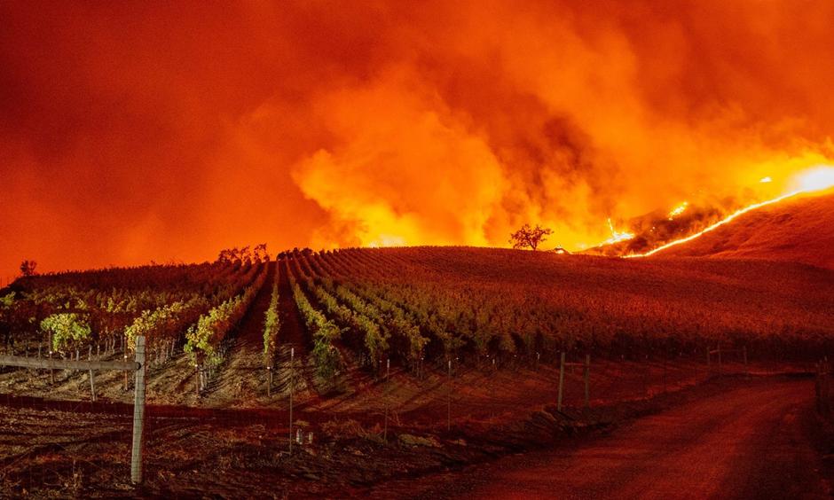 Flames approach rolling hills of grapevines during the Kincade fire near Geyserville, California, on Thursday, October 24, 2019. Credit: Josh Edelson/AFP via Getty Images