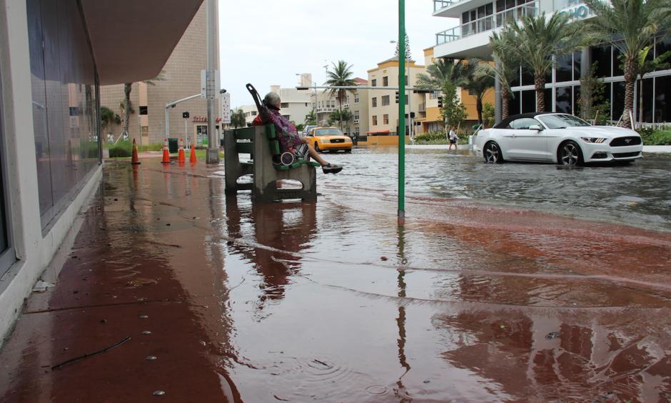 King tides flood Miami streets. Photo: NOAA