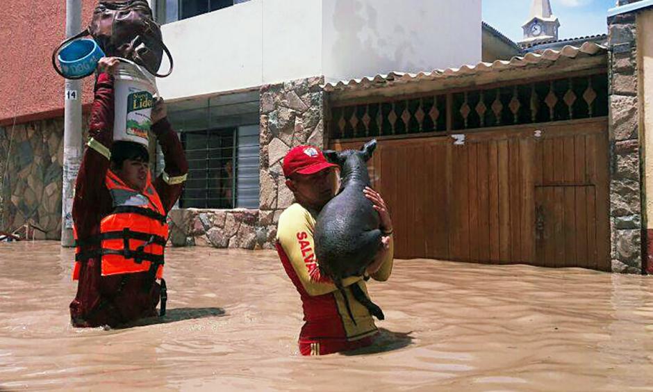 Nearly 15 hours of rain caused a flood that has inundated the Peruvian city of Piura, about 620 miles north of Lima. Photo: PATRICIA LACHIRA / AFP/Getty Images