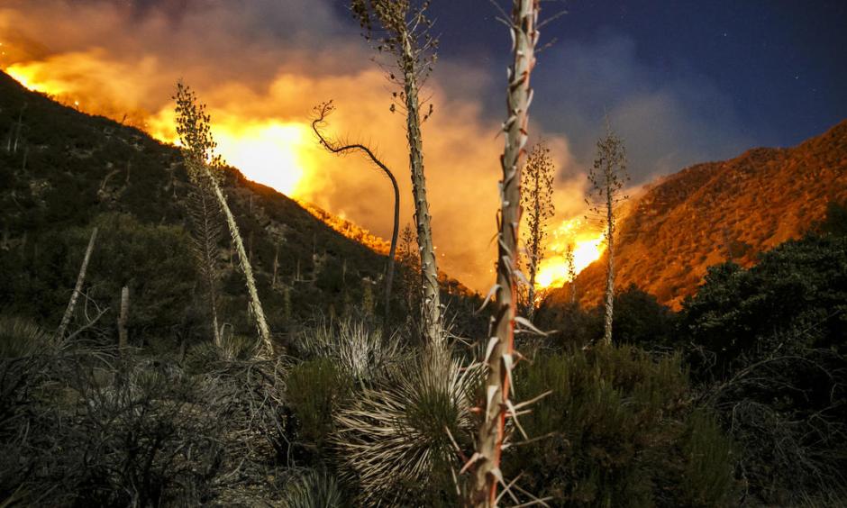 The Blue Cut fire continues to burn north of Lytle Creek in San Bernardino County. Photo: Marcus Yam / Los Angeles Times