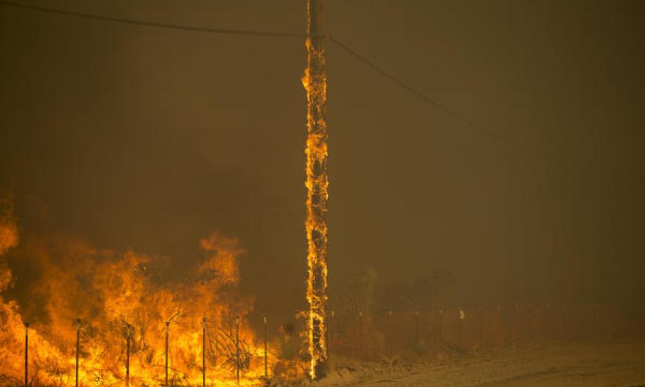 A power pole burns as the Blue Cut fire rages along both sides of Highway 138 in Summit Valley. Photo: Gina Ferazzi / Los Angeles Times