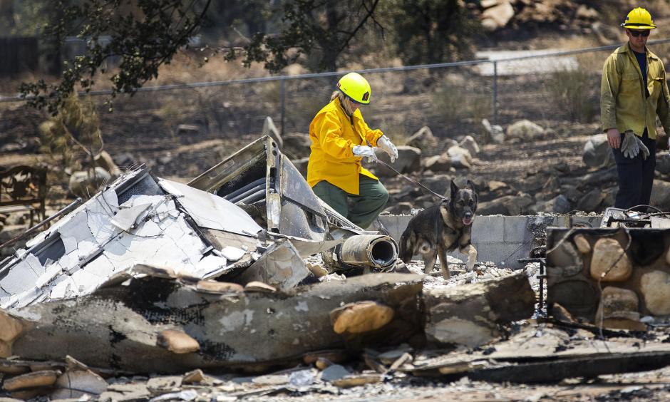 Investigators and a cadaver dog from Santa Clarita search through the rubble of a burned home in the Squirrel Mountain Valley. Photo: Gina Ferazzi / Los Angeles Times