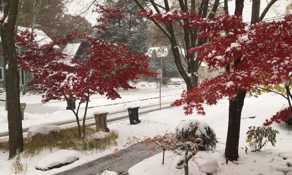 Madison, Wisconsin, lies buried under 5” of snow on Friday, November 1, following a 5.1” accumulation on October 31. Credit: Courtesy Madison