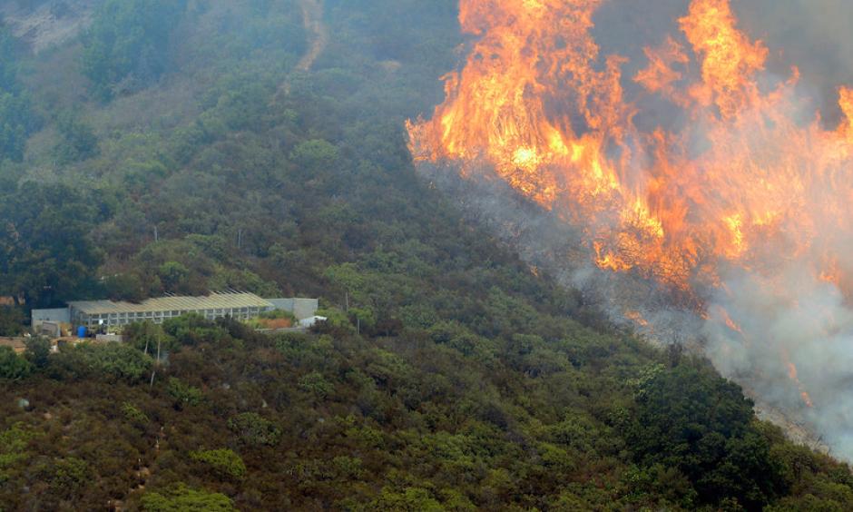 Smoke from the Soberanes Creek fire has so far avoided vineyards. Photo: Mercury News
