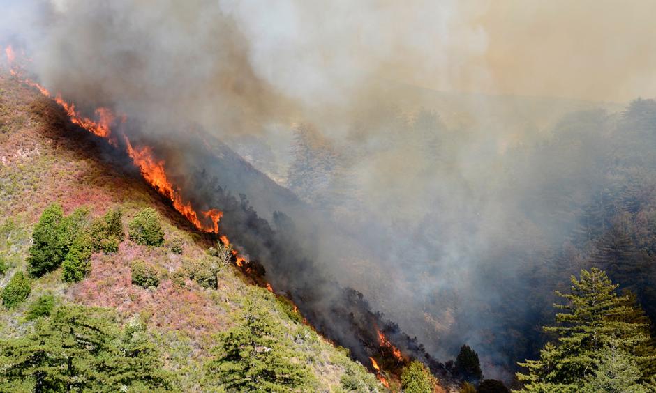 Flames from the Soberanes Fire run up a ridge in Soberanes Canyon in Garapata State Park on the northern Big Sur Coast on Friday July 22, 2016. Photo: David Royal - Monterey Herald