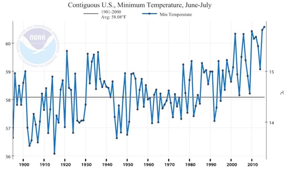 The average daily minimum temperature for the contiguous U.S. is at record-warm values for the summer of 2016 thus far (June plus July). Image: NOAA/NCEI