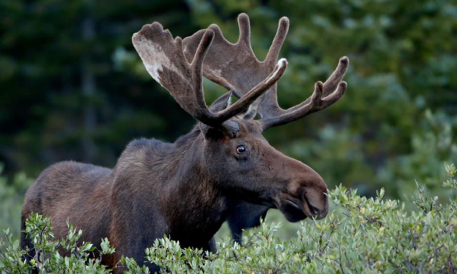 Photo: Robert Harding, Alamy