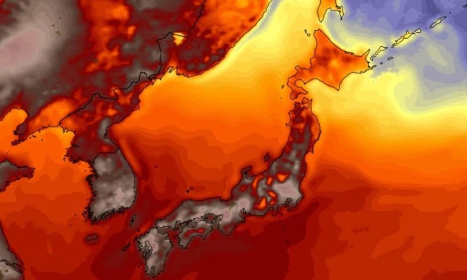 American (GFS) model simulation of temperatures in Japan on Thursday afternoon. Image: WeatherBell.com