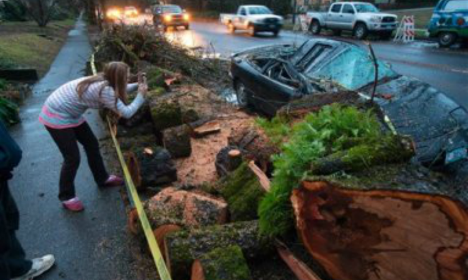 Natasha Jackson snaps a photo of the remains of a vehicle crushed by a bigleaf maple tree along W. 11th Ave. in Eugene, Ore., Thursday, Dec. 10, 2015. An overnight storm brought rain and strong winds to the southern Willamette Valley. Photo: Brian Davies, The Register-Guard, AP