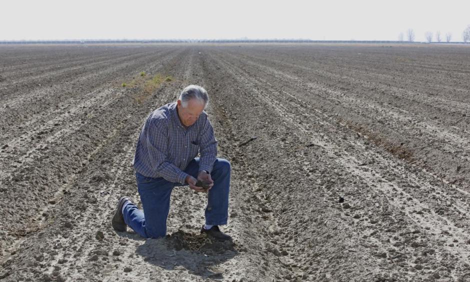 In this Feb. 25, 2016, photo, Mike Stearns, chairman of the San Luis & Delta-Mendota Water Authority, checks the soil moisture on land he manages near Firebaugh. Photo: Rich Pedroncelli, AP