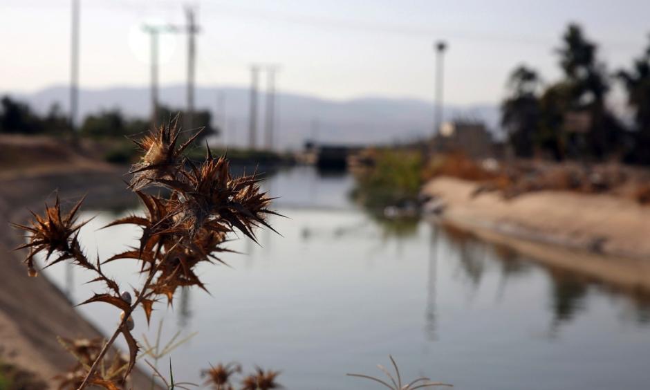 This Oct. 23, 2017 photo shows a stretch of the King Abdullah Canal, the largest irrigation system near the town of Northern Shouneh, Jordan. Recent studies say the kingdom, a Western ally and refugee host nation with a growing population, is being hit particularly hard by climate change, getting hotter and drier than previously anticipated. Photo: Omar Akour, Associated Press