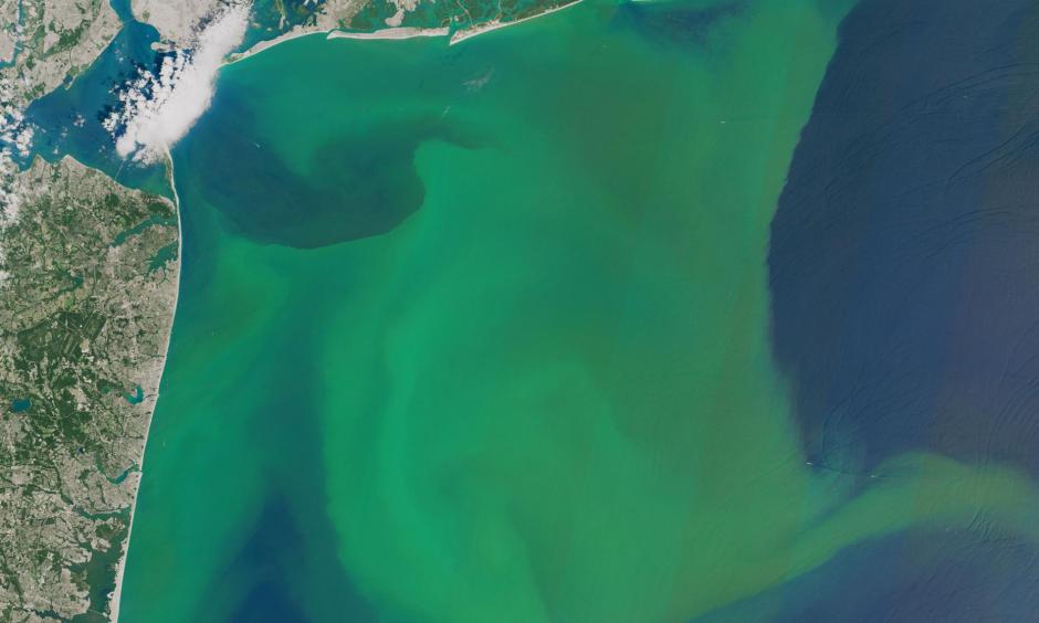 Phytoplankton bloom off the U.S. Atlantic coast in August 2015, thanks to nutrient runoff. Photo: Joshua Stevens, NASA