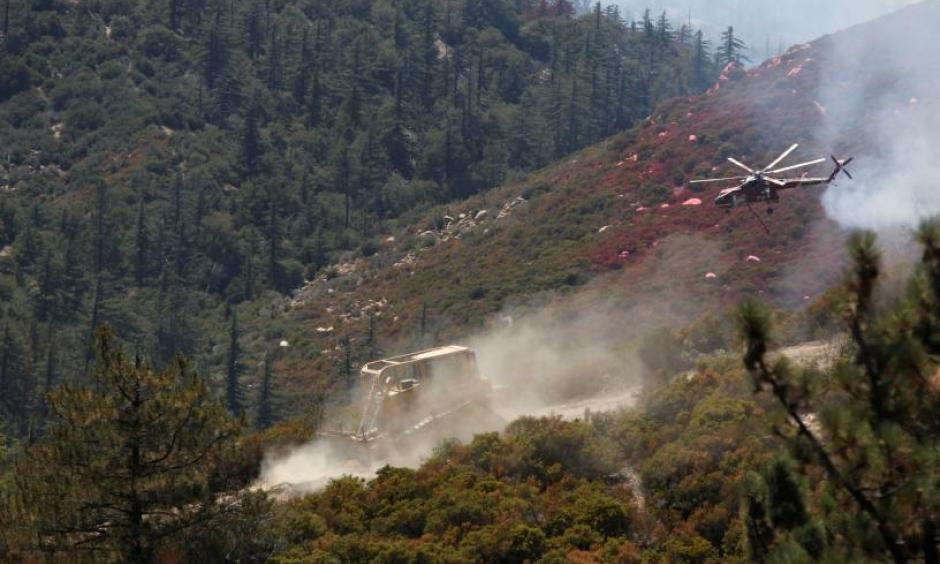 Photo: Reuters
