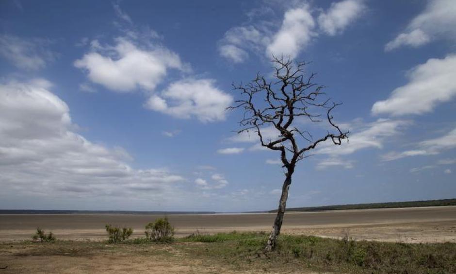 Lake St Lucia is almost completely dry due to drought conditions in the iSimangaliso Wetland Park, northeast of Durban, South Africa February 25, 2016. Photo: Rogan Ward, Reuters