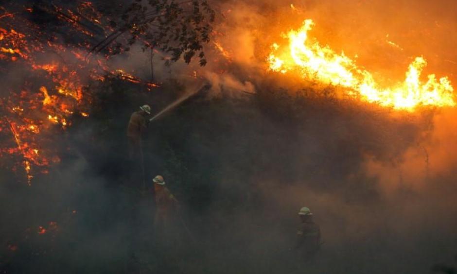 Firefighters work to put out a forest fire near the village of Fato, central Portugal, June 18, 2017. Photo: Rafael Marchante, Reuters