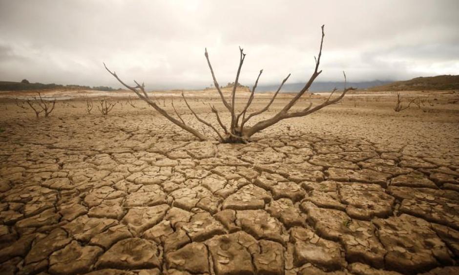 Dried out branches are seem amongst caked mud at Theewaterskloof dam near Cape Town, South Africa, January 20, 2018. Photo: Mike Hutchings, Reuters