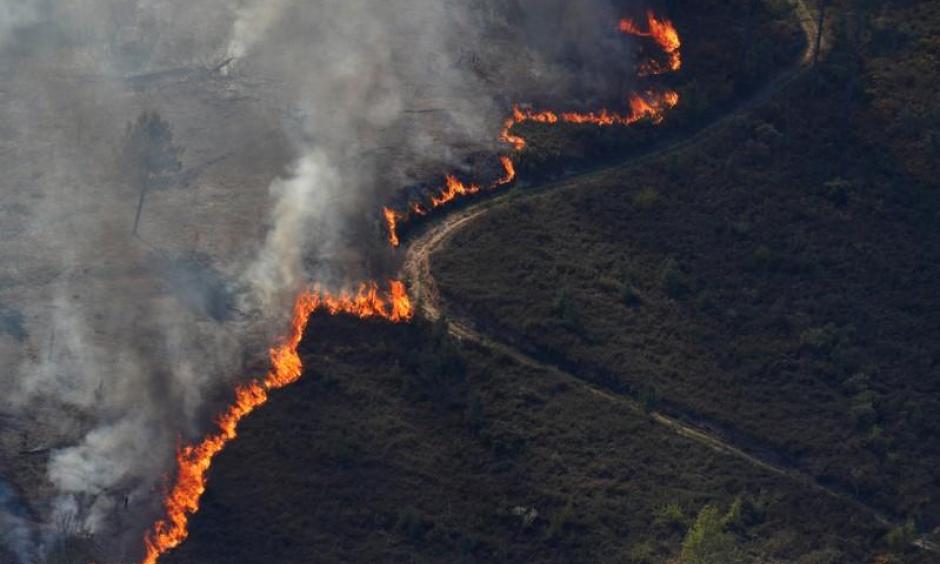 Flames of an approaching forest fire are seen near the small village of Gondomil, near Valenca, Portugal March 27, 2019. Photo: Rafael Marchante, Reuters