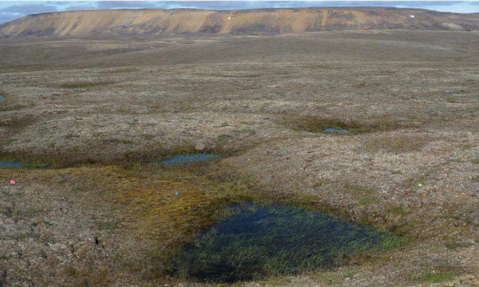 General view of a landscape of partially thawed Arctic permafrost near Mould Bay, Canada, in this handout photo released June 18, 2019. The image was captured in 2016 by researchers from the University of Alaska Fairbanks who were amazed to find the permafrost thawing 70 years faster than models predicted. Photo: Louise Farquharson/Handout, Reuters
