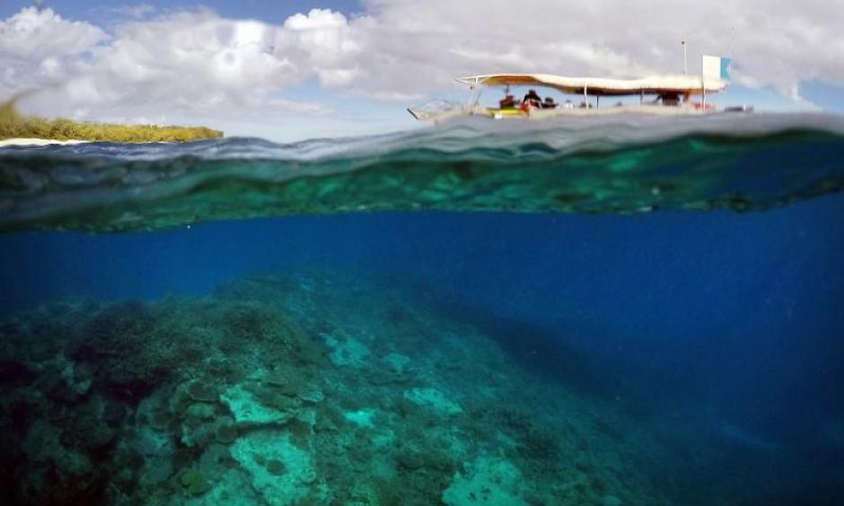 A tourist boat floats above an area called the 'Coral Gardens' located off Lady Elliot Island and north-east from the town of Bundaberg in Queensland, Australia, in this June 11, 2015 file photo. Photo: David Gray, Reuters