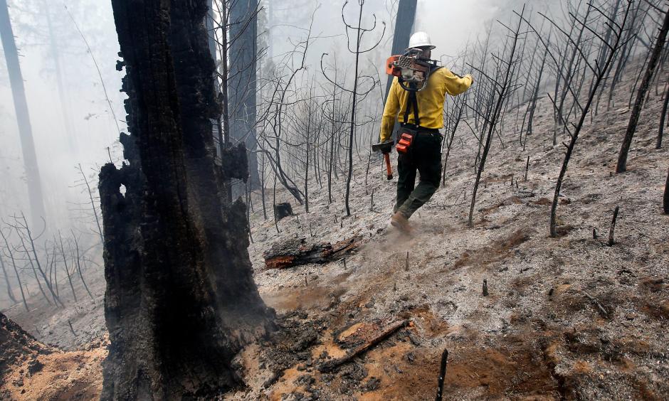 Craig Morgan, a faller who is responsible for cutting down unstable burned trees, walks through a burned area near Groveland (Tuolumne County) during the enormous 2013 Rim Fire. Photo: Michael Macor, San Francisco Chronicle