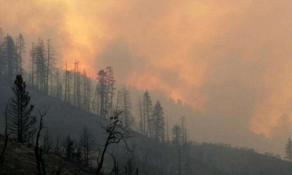The Rough fire is the largest active fire in California, the majority of which is burning the the Sierra National Forest and Sequoia National Forest. (US Forest Service Handout / EPA)