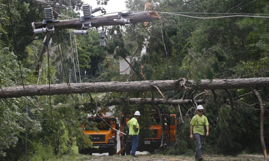 Workers remove downed trees during cleanup operations in the aftermath of Hurricane Hermine in Tallahassee, Florida September 2, 2016. Photo: Phil Sears, Reuters