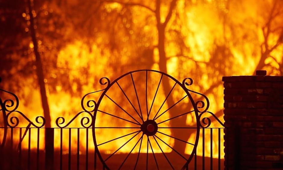 The Sand fire burns out of control along near Acton, California, on Sunday. Photo: FireThirtyEight