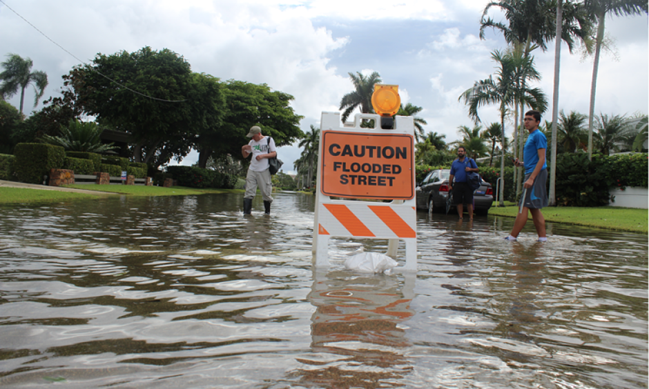 One Hollywood neighborhood floods with the king tide. Photo: Jess Swanson
