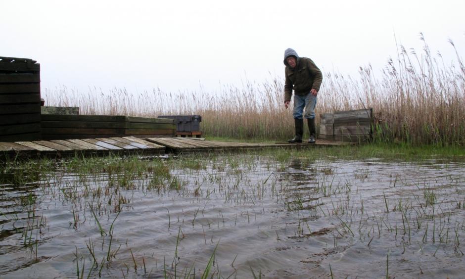 In this April 26, 2017, photo Jim O’Neill walks across a makeshift boardwalk he built in his back yard in Manahawkin N.J., because the property is almost always under water, even on sunny days. He lives in a low-lying area near the Jersey shore, and is often affected by back bay flooding. Photo: Wayne Parry, Associated Press