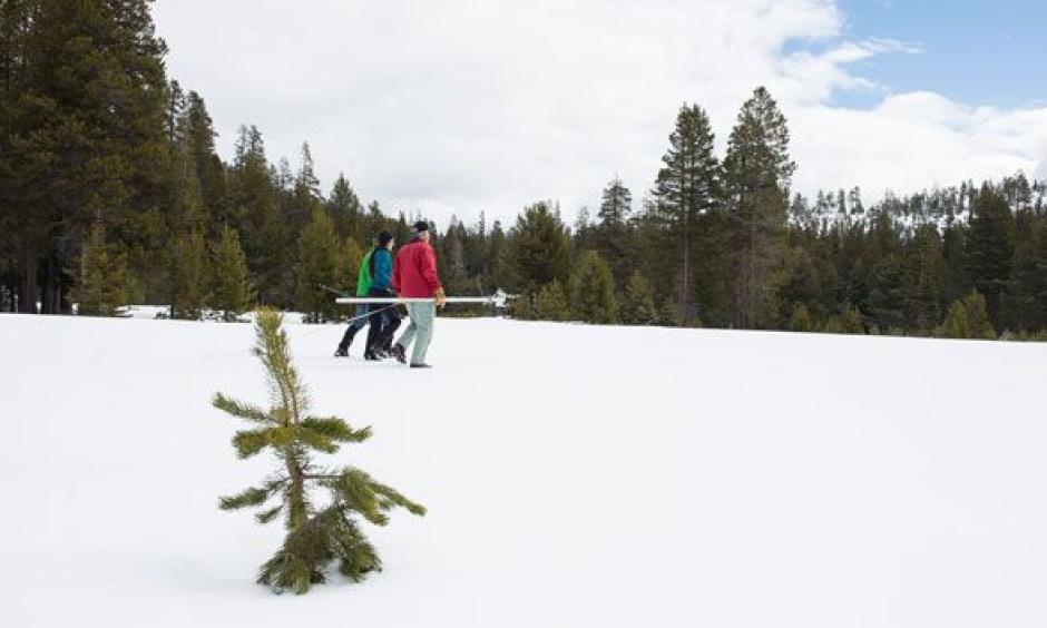 Snow surveyors recorded a much higher number than they did last year, but that doesn't mean the drought is done. Photo: Kelly M. Grow/California Department of Water Resources