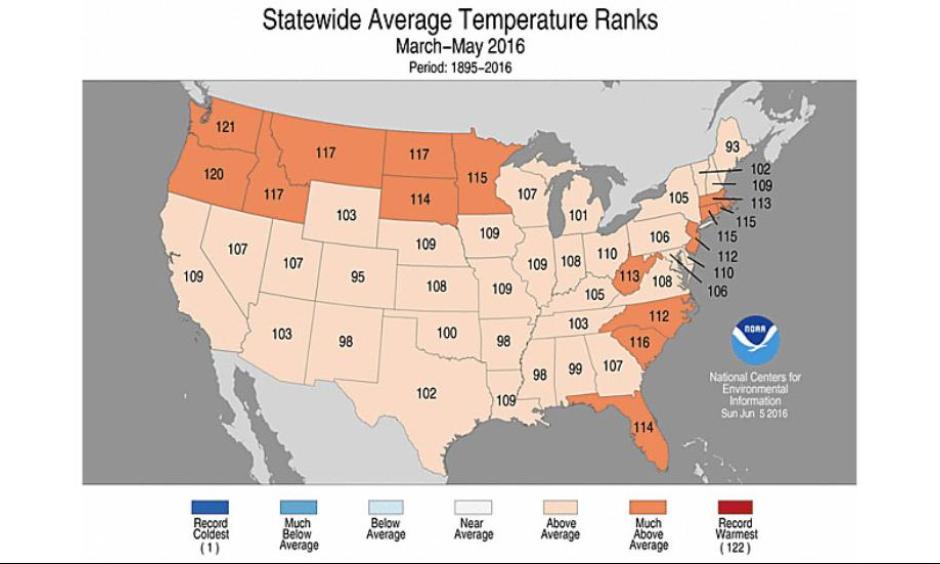 Spring 2016 temperature rankings. Image: NCEI
