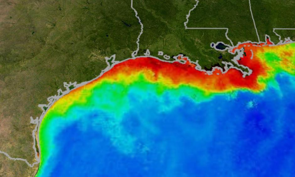 This image of the Gulf of Mexico in the summer was created by the Moderate Resolution Imaging Spectroradiometer (MODIS) instrument on NASA's Aqua satellite. Reds and oranges represent high concentrations of phytoplankton and river sediment. Photo: NASA